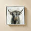Vache Highland-130878913-130878910