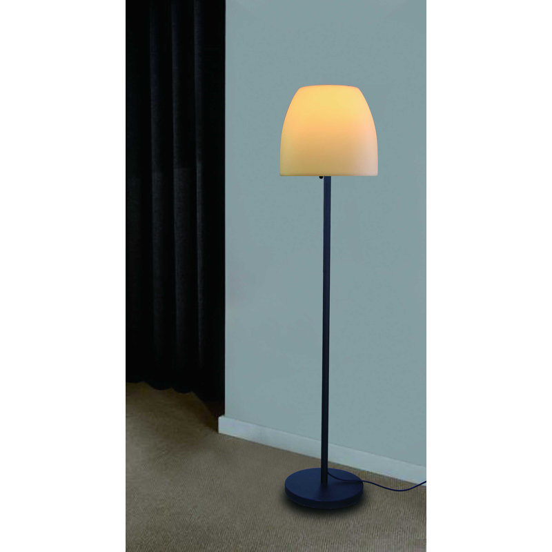 Anusuya Floor Lamp