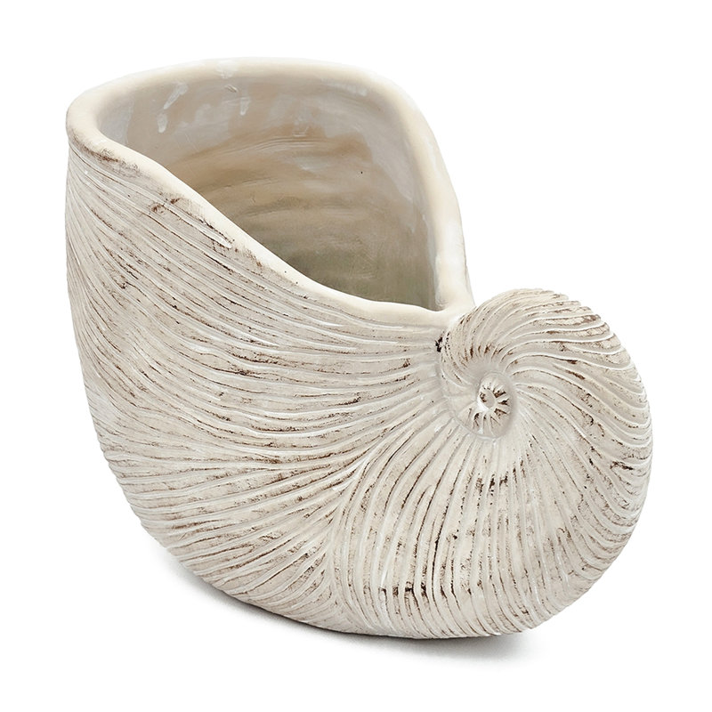 Textured Beige Finish Sand And Cement Shell Planter For Succulents Bringing Tranquility To Your 11.5X6.7X7.7 Inches In Appearance With Neutral Colorway Herb Arrangement Bathroom