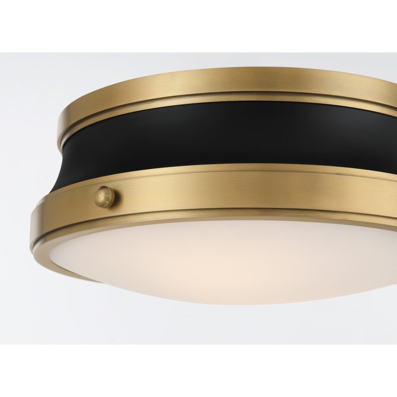 Purelight 15" 2-Light Flush Mount, Brass/Black