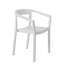 Peach Outdoor Dining Armchair-1921172716