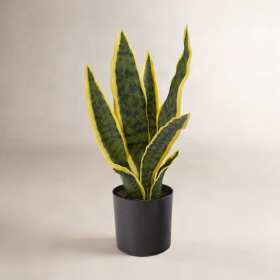 22" H Faux Snake Plant in Pot