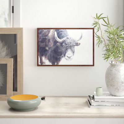 Parvez Taj - Single Picture Frame Print