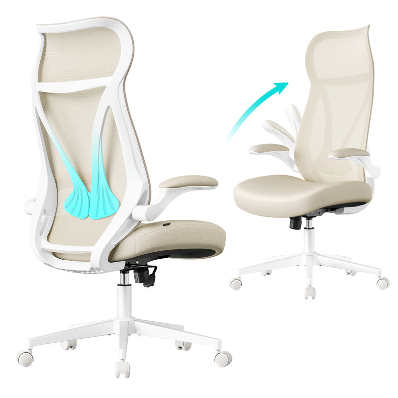 Chaises de bureau
