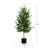 Artificial Norfolk Pine Tree-1606007050