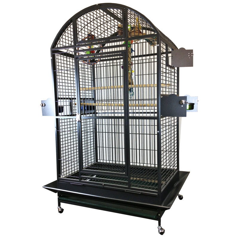 Cage XX XX Large par A&E, Noir