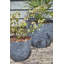 Aletriz Ceramic Pot Planter-142407955