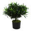 40cm Faux Evergreen Plant in Pot Liner