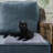 PurrPadd Cat Bed-4558775