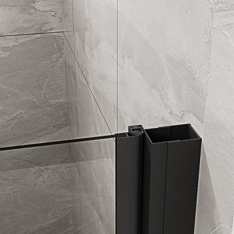 Porte de douche en verre trempé, Noir mat