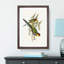 Red-Capped Parakeets by Elizabeth Gould - Picture Frame Painting Print-55598493-55598492
