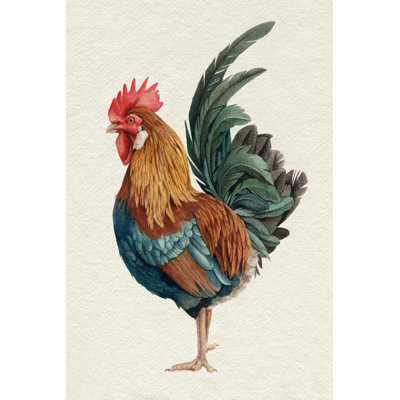 Rooster II by Grace Popp - Painting