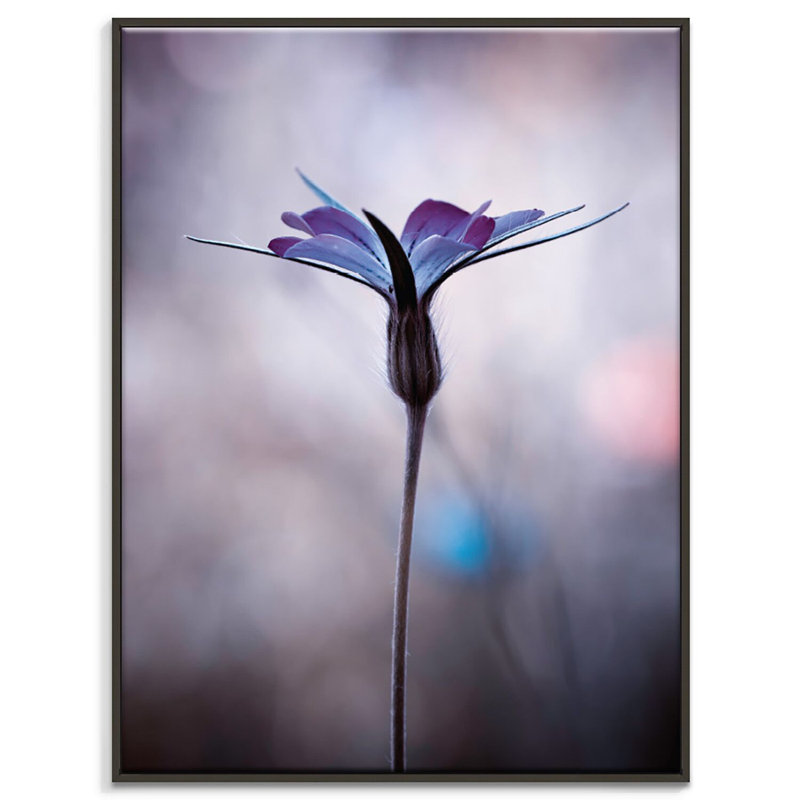 Print on Canvas, 102cm H x 76cm W, Black Floater Frame
