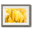Sunshine Yellow II - impression d'un seul cadre photo-1807981066-1807981067