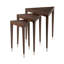 Vanucci Eclectics Solid Wood Nesting End Table