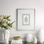 Fern6 Print