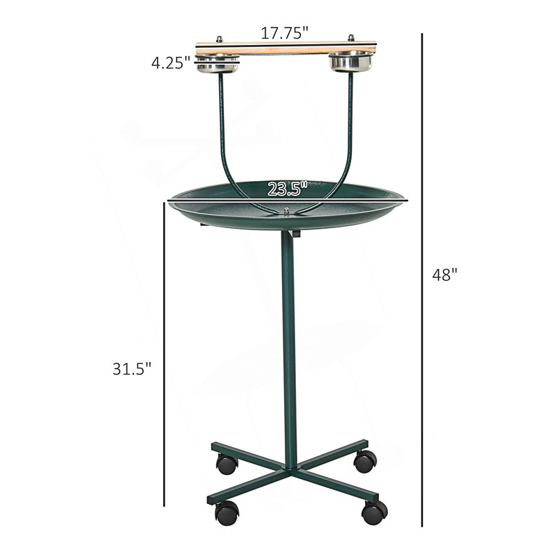 Bird Training Activity Playground With