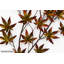 Landscape & Nature Handcrafted Metal Wall Decoration 