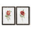 Pivoine écarlate - ensemble de 2 reproductions d'art-1707268021-1707268031-1707268026