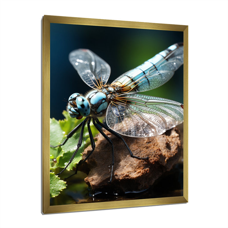 Libellule blanche, vol d'insectes - animaux, impressions sur toile, H 32 po x l 16 po x P 1 po, Encadrement doré