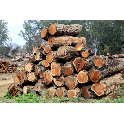 Heap of Woods Pile by Pixelfusion3D