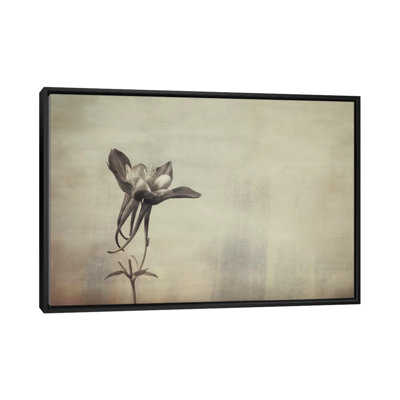 «Columbine», reproduction d'impression sur toile