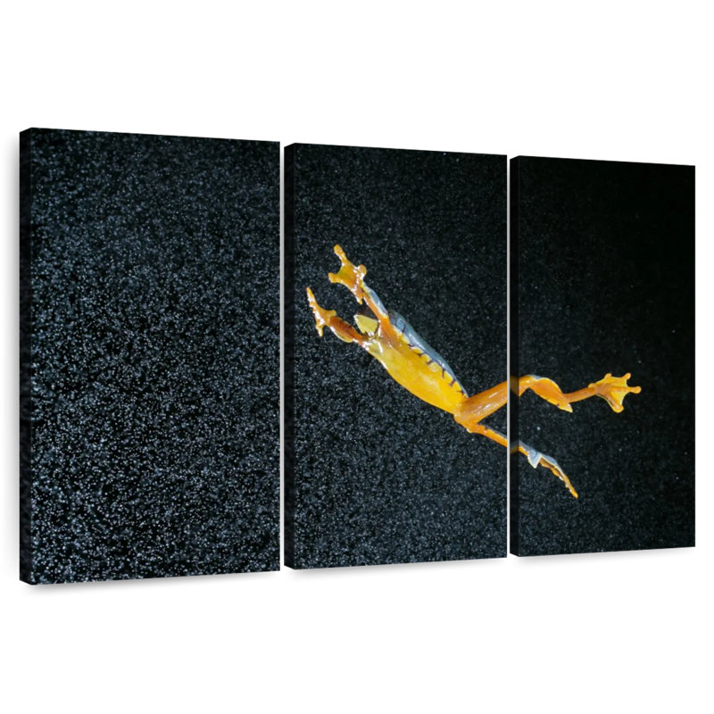 Leaping Leaf Frog, 24" H x 38" W
