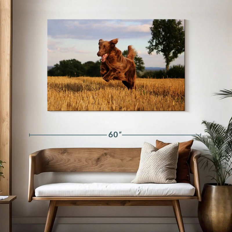 Brampt Happy Brown Retriever, H 32 po x l 48 po