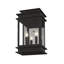 Lanterne murale d'extérieur 2 lumières Cortana-634191351-634191350