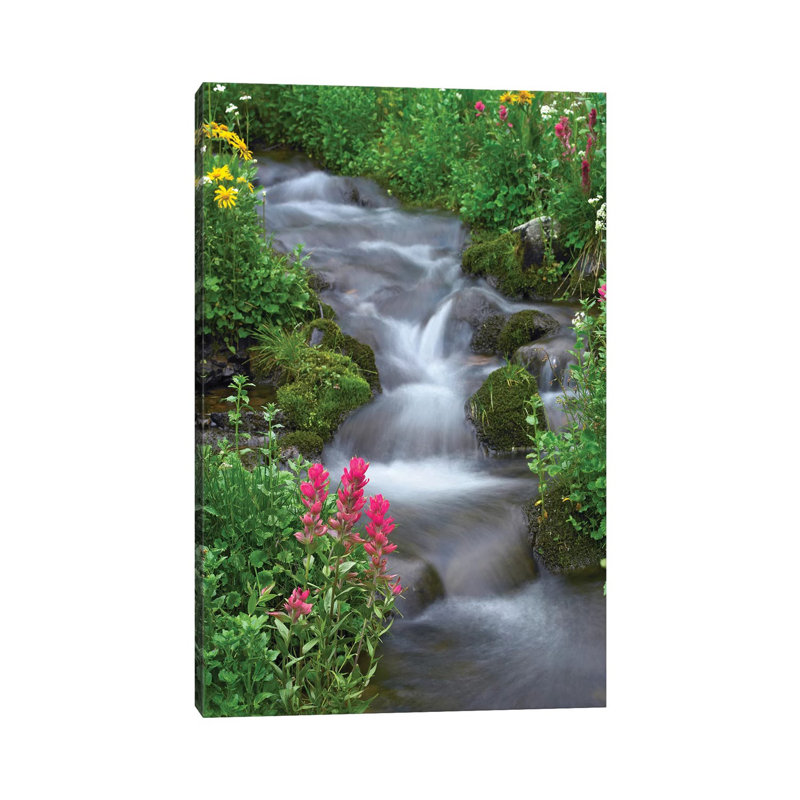 Orange Sneezeweed And Indian Paintbrush Beside Stream by Tim Fitzharris - Wrapped Canvas Print