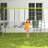 Caetlin Dakota Fields Metal Swing Set with 2 Swing(s)