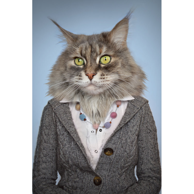Cat In Clothes - Wrapped Canvas Print, 46cm H x 30cm W x 3.8cm D