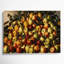 «Farm Apple Cluster», art mural sur toile brune-378659019
