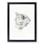 Sketch of a Cat by Jean Bernard - Picture Frame Drawing Print-55619490-55619489