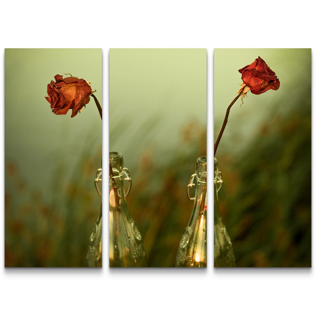 3-tlg. Leinwandbilder-Set Getrocknete Rosen beim Sonnenuntergang