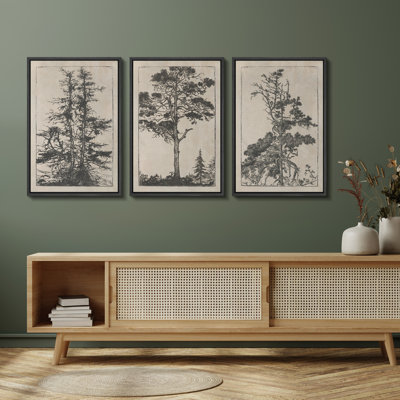 Antique Pine Tree Illustration Canvas Print Wall Art Set of 3 - Vintage Forest Decor for Office or Library