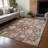 Machine Washable Indoor/Outdoor Francky ACN2355 Traditional Rug-1115123596