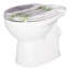 Dejanna Soft Close Elongated Standard Toilet Seat