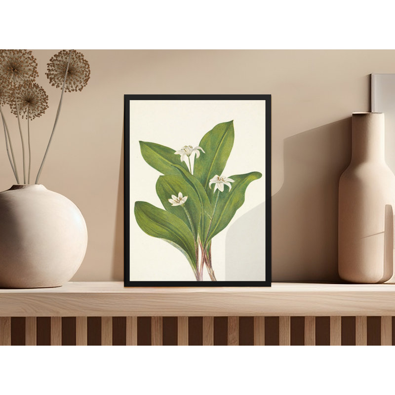 Anchoretta Floater Frame Print, 24x36