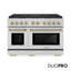 ZLINE Autograph 48 in. Paramount Dual Fuel Range w/ DuoPro Cooktop & Black Doors w/ Gold Accents-1696121621-1696121610