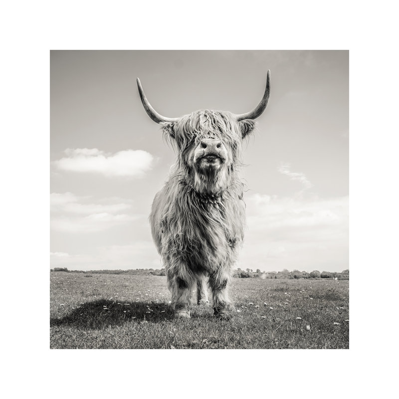 Pose by Mark Gemmell - Wrapped Canvas Giclée Art Print, 93.98 cm H x 93.98 cm W x 1.91 cm D