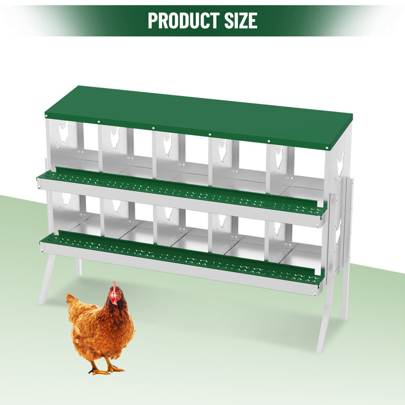 Chicken Coop, Green