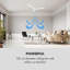 122cm Ceiling Fan-1405403174