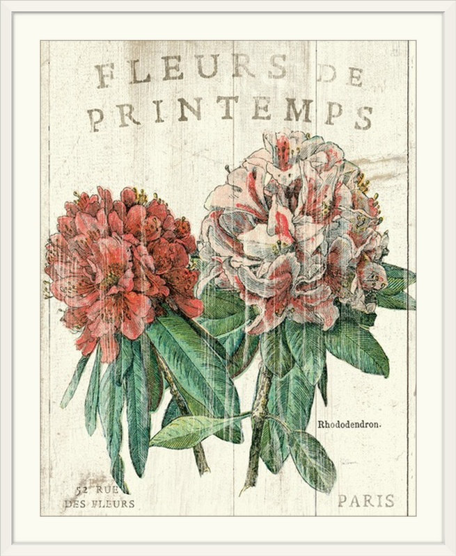 « fleur de printemps » par sue schlabach, impression, Cadre blanc, H 23 po x l 20 po x P 1 po