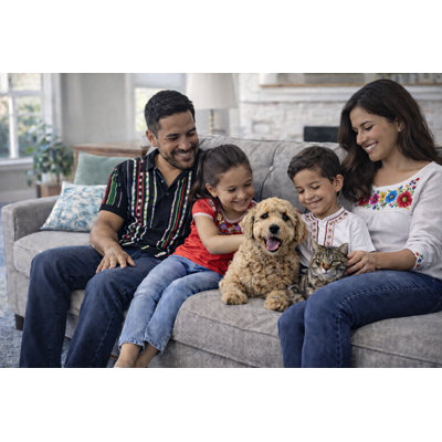 Nettoyeur de taches et d'odeurs pour animaux ForceField