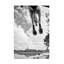 Art sur toile, bol Sharon Lee Chapman-109321277
