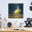 «Yoga Chick Side Plank» par Lucia Heffernan, 12 po x 12 po-1183717875