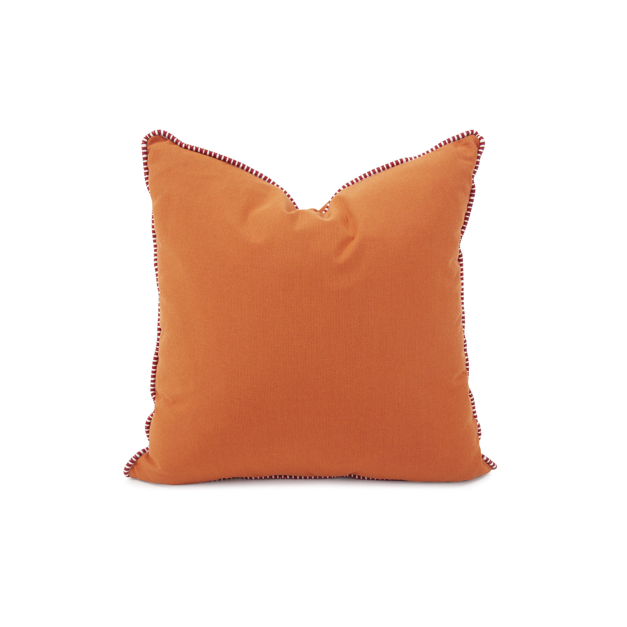 Delijah Sunbrella® Indoor/Outdoor Throw Pillow, 20" x 20", Seascape Canyon