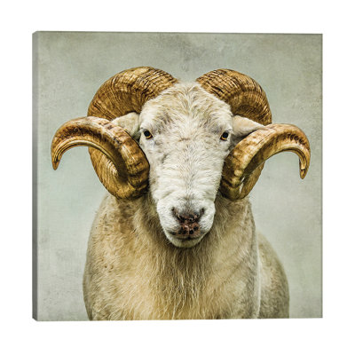 Stare by Mark Gemmell - Wrapped Canvas Giclée Art Print