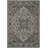Adler Performance Oriental Indoor/Outdoor Area Rug-478735269